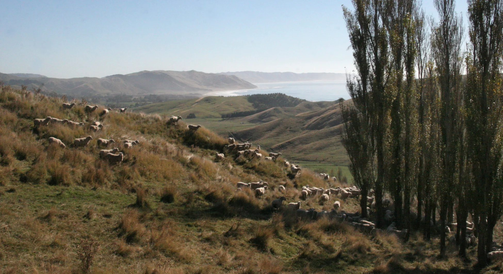 Welcome to Our Store